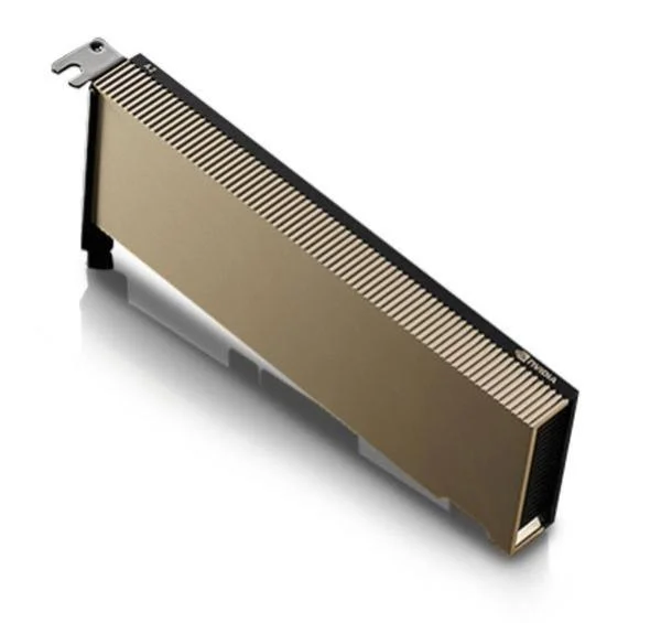 NVIDIA A2, 16GB 6251MHz, GDDR6 128-bit, 200GB/s, PCIe Gen4 x8, Single Slot, 40-60W, Tensor Core GPU, ATX, Ampere, 2YR Warranty