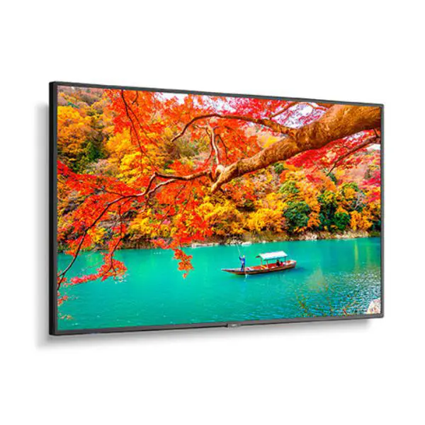 NEC MA491 49" Wide Color Gamut 4K UHD Professional Display/ 3840x2160 / 500 cd/m2/ 24/7, 3Yr warranty