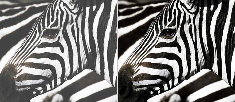 optoma high contrast