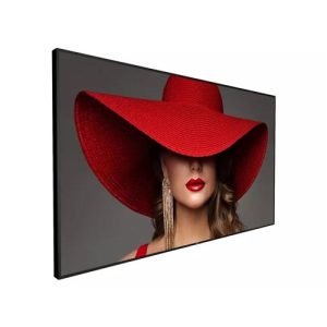 Philips Signage Solutions D-Line Display