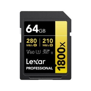 Lexar 64GB Professional