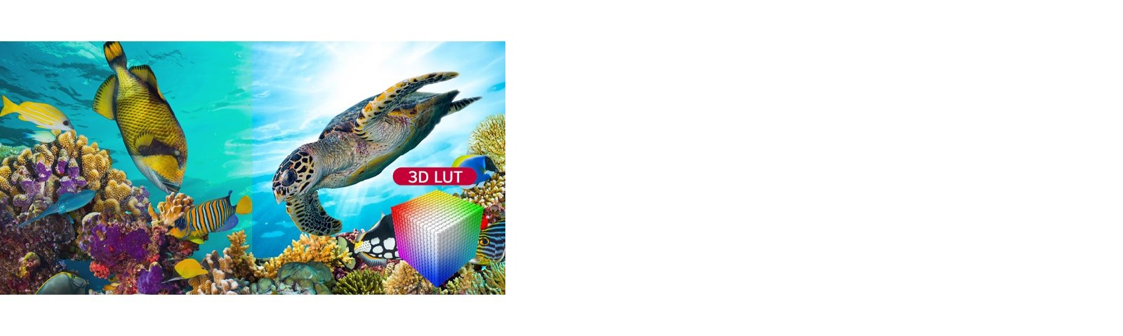 Diverse input and output options of the 65 inch LG UltraFine Display OLED Pro SKU: 65EP5Q | commercial oled screen