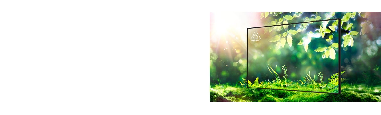 Advanced Energy Efficiency with LG 65-inch Digital Signage for Sustainable Advertising