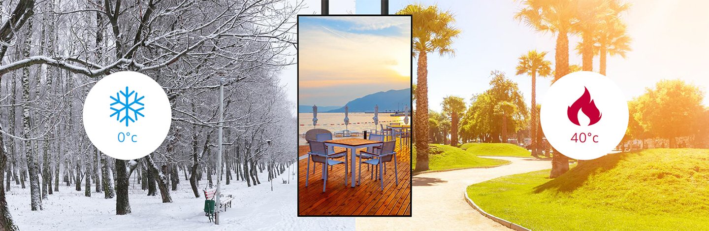 Advanced LG Digital Display for Unmatched Connectivity and Performance