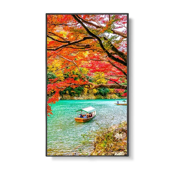 Sharp MA-series MA551 55" Professional Display, 4K UHD, 500-cd/m2 Brightness, IPS, 28% Haze Non-Glare, 300x300 VESA, 24/7 3Yr Warranty 6 Product image of SHARP MA551 – MA-series MA551 55" Professional Display 4K UHD 500-cd – Image 6