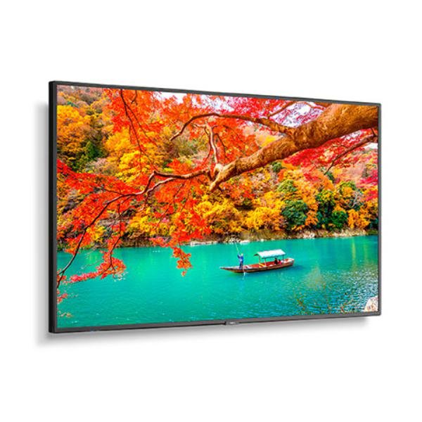 Sharp MA-series MA551 55" Professional Display, 4K UHD, 500-cd/m2 Brightness, IPS, 28% Haze Non-Glare, 300x300 VESA, 24/7 3Yr Warranty 1 Product image of SHARP MA551 – MA-series MA551 55" Professional Display 4K UHD 500-cd – Image 1