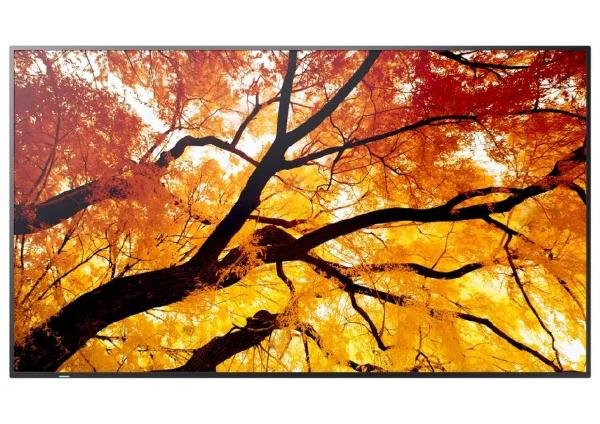 Sharp M-Series PN-M502 50" Large Format Display, UHD, 550-cd/m2 Brightness, VA, 25% Haze Non-Glare, 300 x 300 VESA, 24/7, 3Yr Warranty 1 Product image of SHARP PN-M502 – M-Series PN-M502 50" Large Format Display UHD 550-cd – Image 1