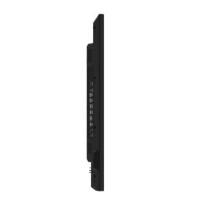 Hisense 50DM66D front display view with 4K UHD retail signage content
