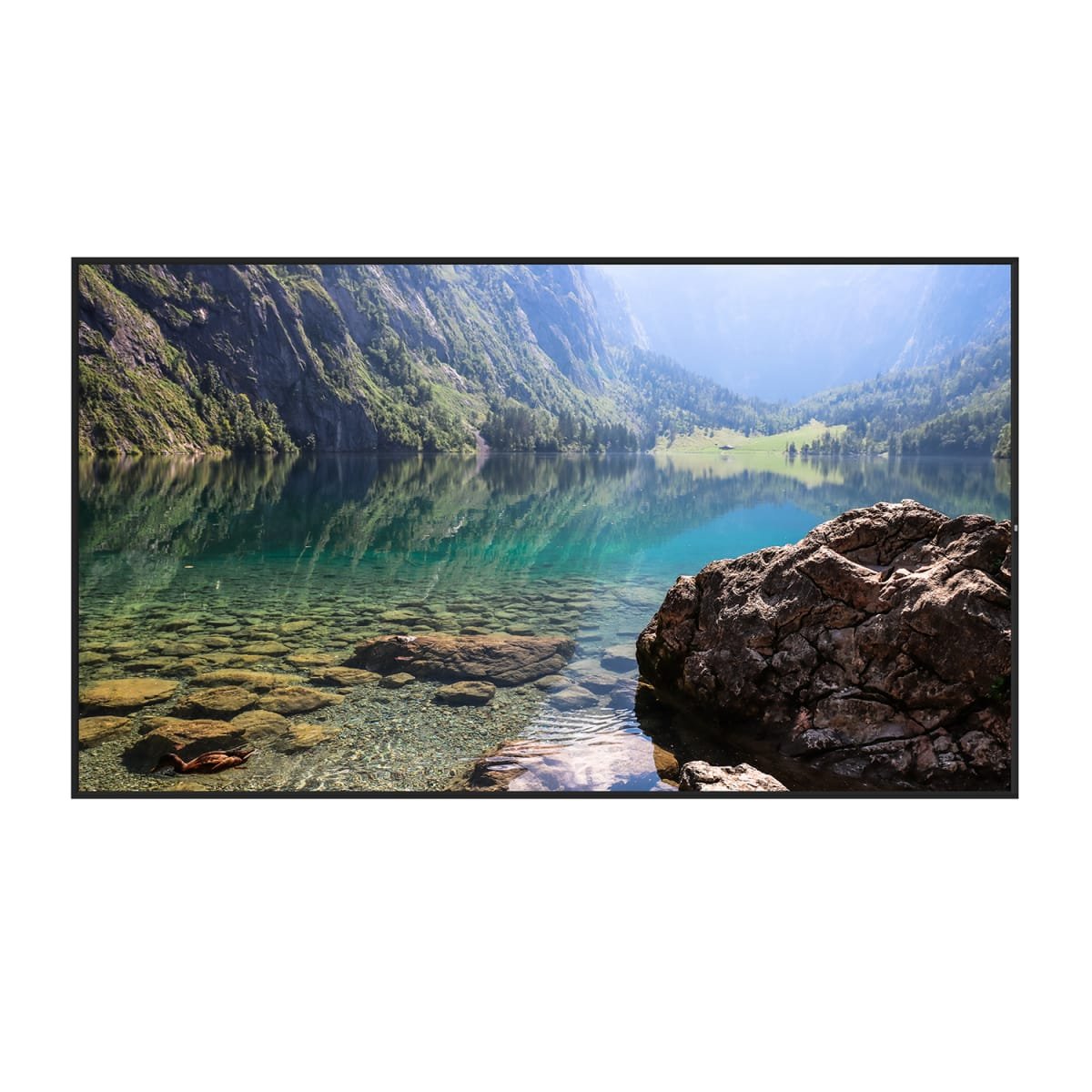 Hisense 55WH80F Window-Facing High Brightness Display | Sunlight-Readable Signage 5 Hisense 55WH80F displaying retail product content in high ambient light conditions