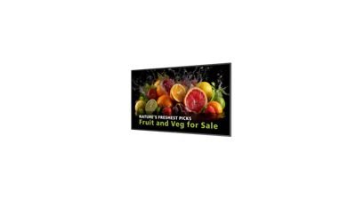 Philips 55" Signage Solutions Philips Signage 5000 Series | 55BDL5050D 1 Philips 55" D-Series Commercial Display | 4K UHD 600cd/m² 24/7 Android 14 | 55BDL5050D