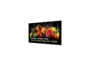Philips 65" D-Series Commercial Display | 4K UHD 600cd/m² 24/7 Android 14 | 65BDL5050D